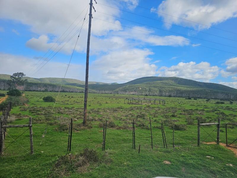 0 Bedroom Property for Sale in Uitenhage Eastern Cape